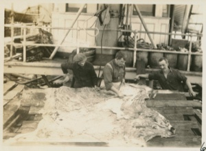 Image of Three men on dock cleaning bear skin